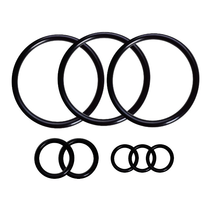 Kalrez Gaskets High Temp Kalrez Gaskets High Temp